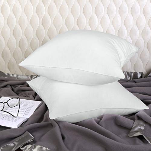 THE HOME STYLE Cotton Vaccum White Cushion Fillers (Set of 2)